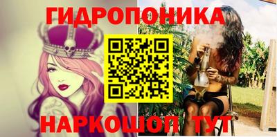 spice Кинель