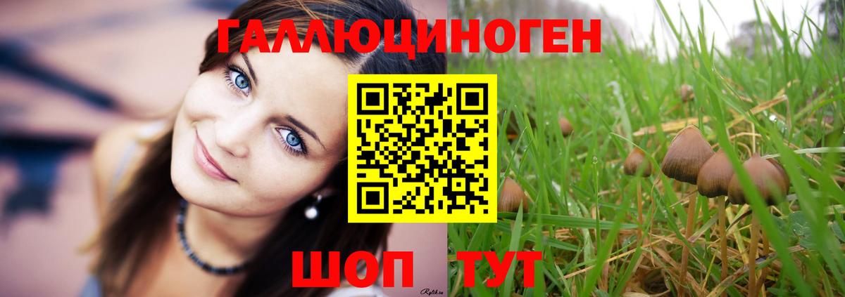 Галлюциногенные грибы Psilocybe  Галлюциногенные грибы GOLDEN TEACHER  Вход с VPN  Великие Луки 